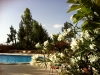 photo-4